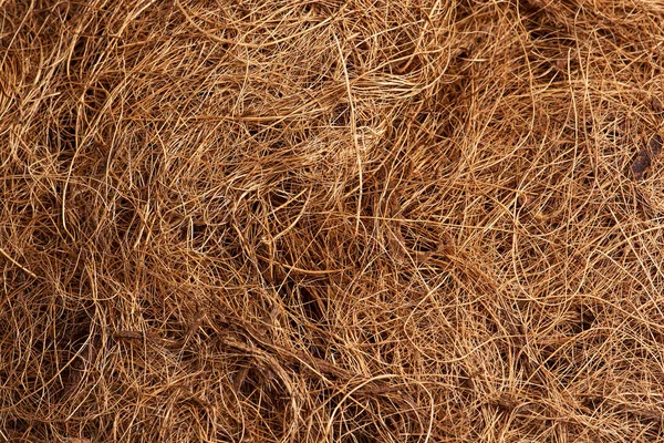 Coco Fiber